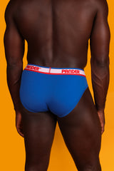 Cobalt Blue Pander Brief