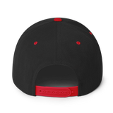 Pander Snapback Hat