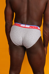 Athletic Grey Pander Brief