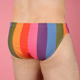 Pastel Rainbow Stripe Swim Brief