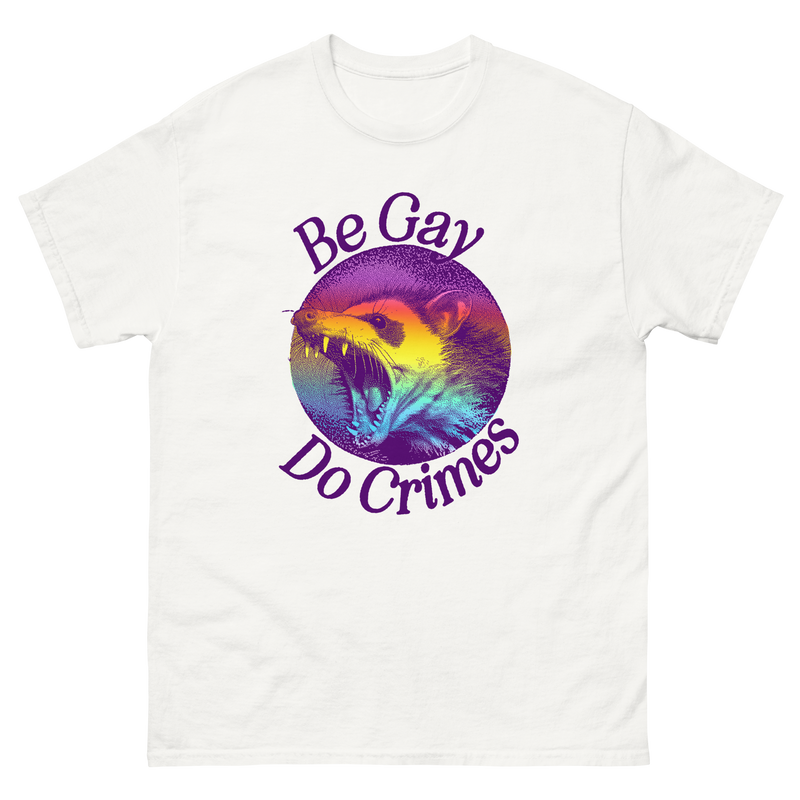 Be Gay Do Crimes Oppossum T-Shirt
