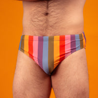 Palm Springs Rainbow Swim Briefs