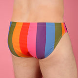 Pastel Rainbow Stripe Swim Brief