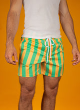 Yellow & Green Striped Swim Trunks