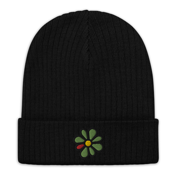 ICQ Embroidered Beanie